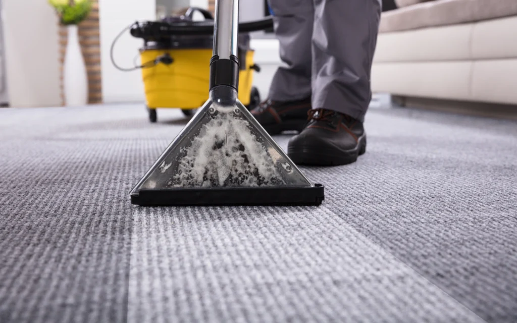 Provide expert floor and carpet cleaning